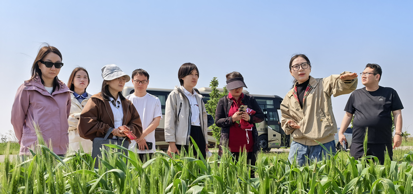 菁英培养｜2025级MAA东营实践圆满收官：从盐碱地到湿地保护区，书写黄河口生态文明新答卷
